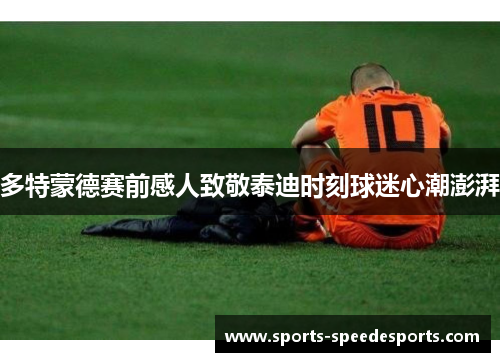 多特蒙德赛前感人致敬泰迪时刻球迷心潮澎湃
