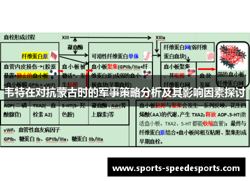 韦特在对抗蒙古时的军事策略分析及其影响因素探讨